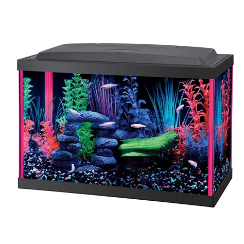 petco fish decor|petco aquarium designs.